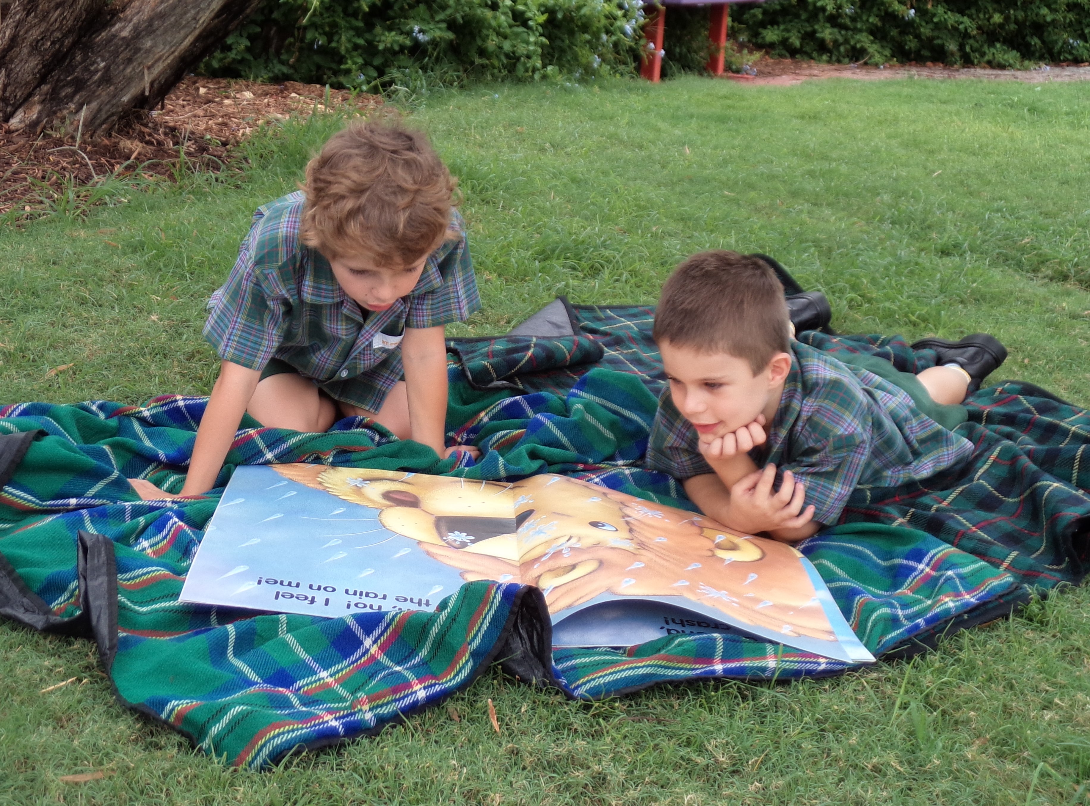 Students reading together on a blanket outdoors, promoting literacy, engagement and shared learning in a natural environment Provide your feedback on BizChat